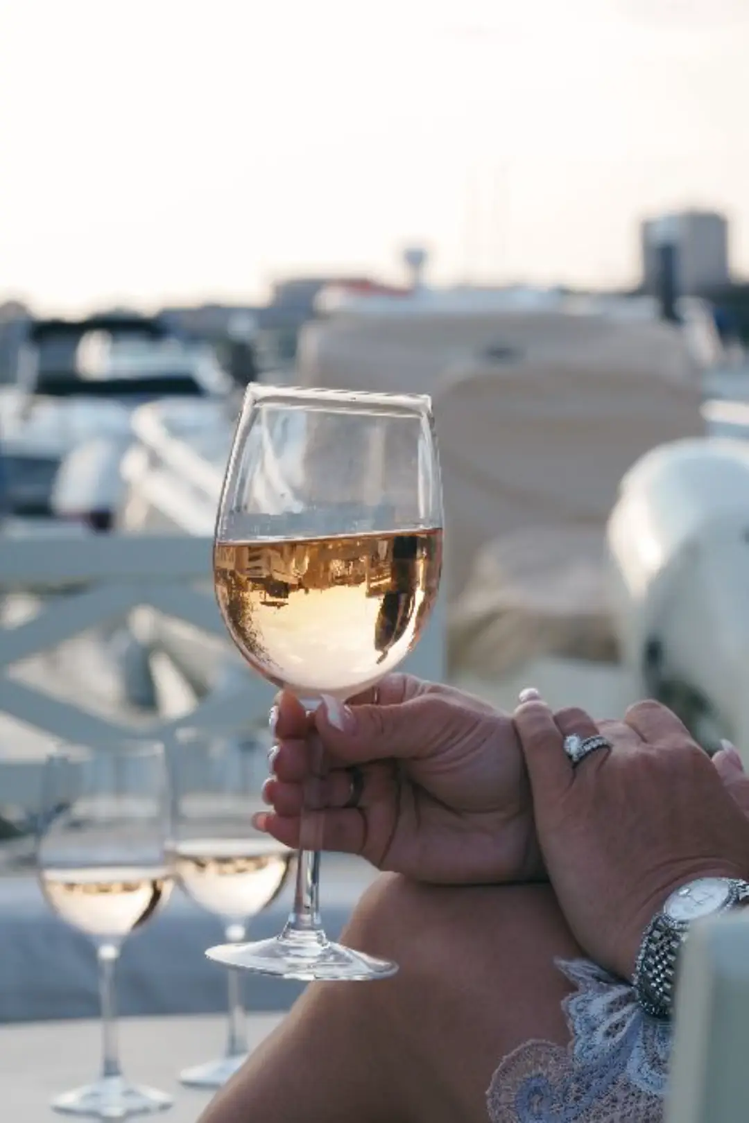 rosé wine tasting notes